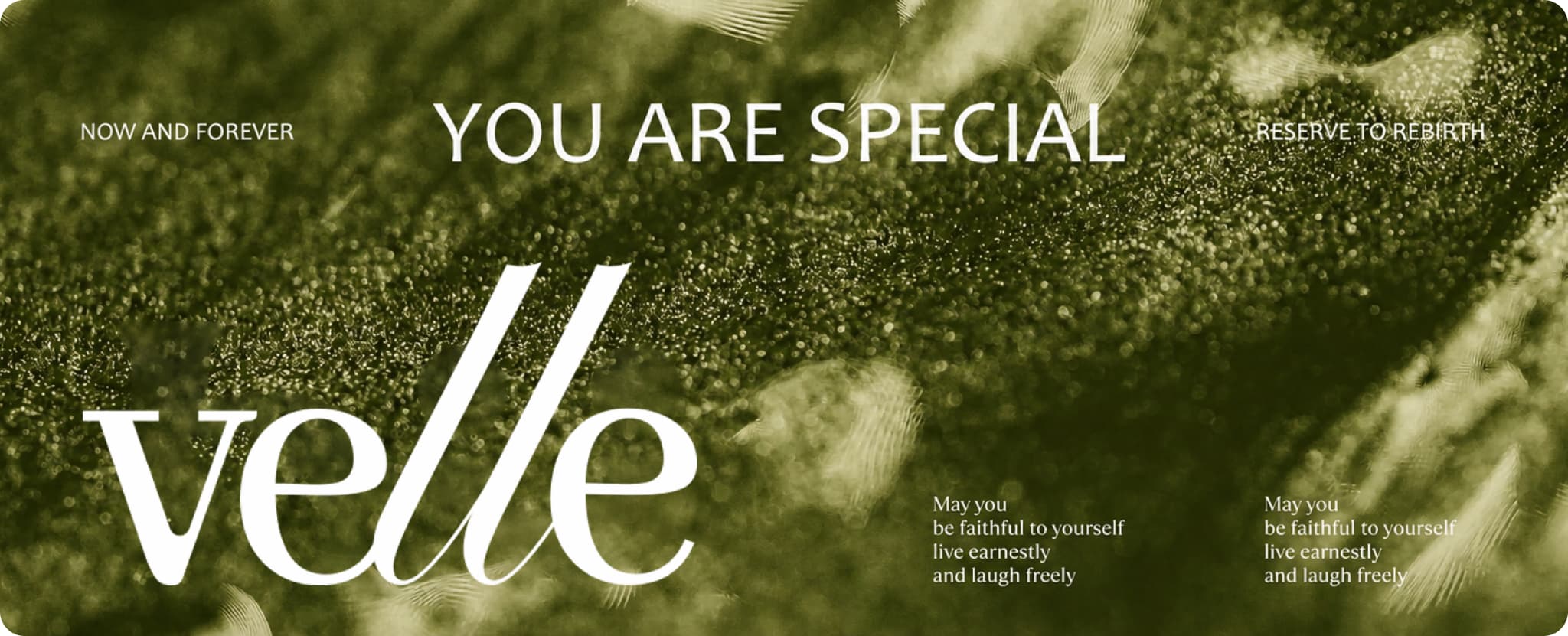 VELLE - PREMIUM SKINCARE BRANDING